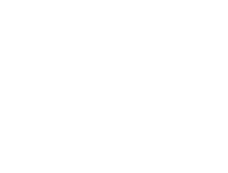 MZN Logo in white colour